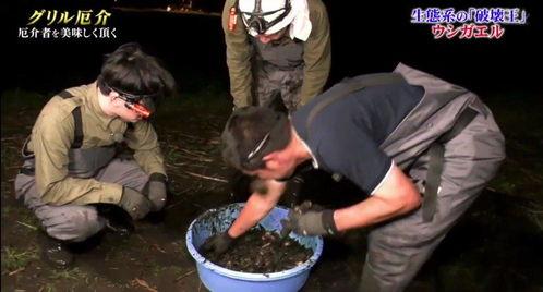 牛哥爆料最新视频,揭秘视频背后的惊人真相！  第1张