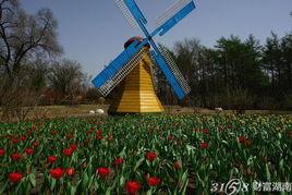 哈尔滨植物园爆料案件最新,惊现神秘命案，真相扑朔迷离！  第1张